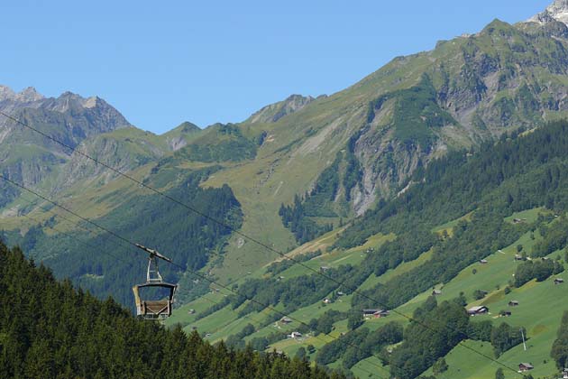 GTBE Elm - 2007-08-05 GTBE Elm - 2007-08-05