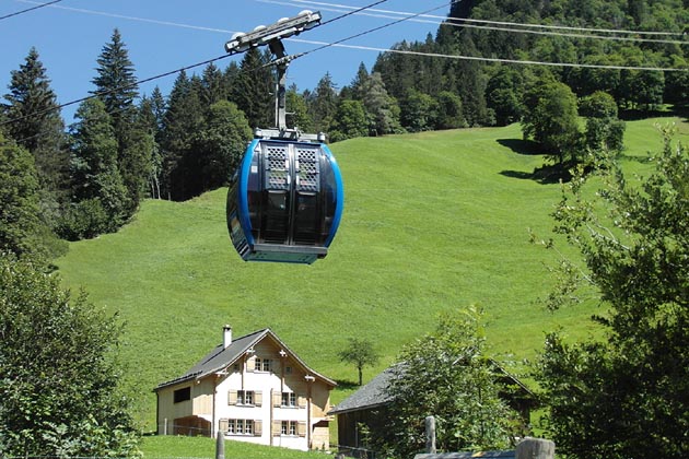 GTBE Elm - 2019-08-18 GTBE Elm - 2019-08-18