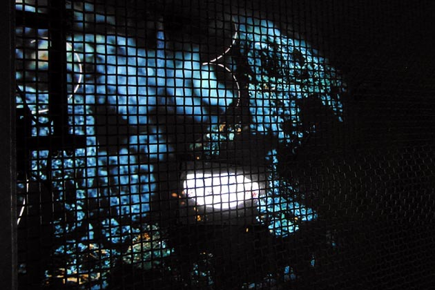 HKDS Rüte Brülisau - 2021-07-21 HKDS Rüte Brülisau - 2021-07-21