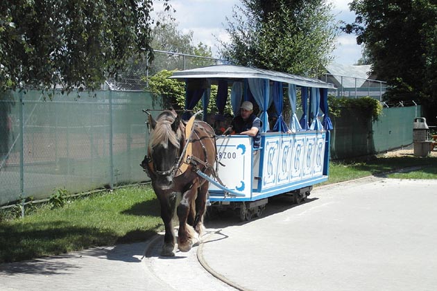 Knies Kinderzoo Rapperswil - 2024-06-13 Knies Kinderzoo Rapperswil - 2024-06-13