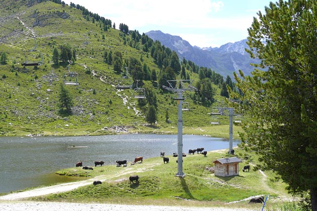 NVRM Nendaz - 2008-08-04 NVRM Nendaz - 2008-08-04