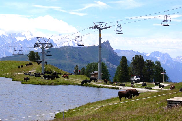 NVRM Nendaz - 2008-08-04 NVRM Nendaz - 2008-08-04