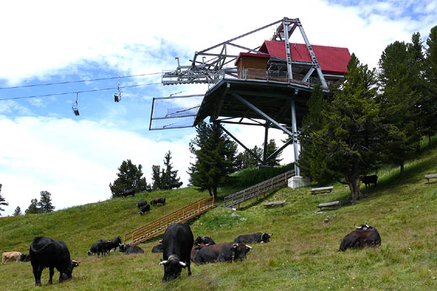 NVRM Nendaz - 2008-08-04 NVRM Nendaz - 2008-08-04