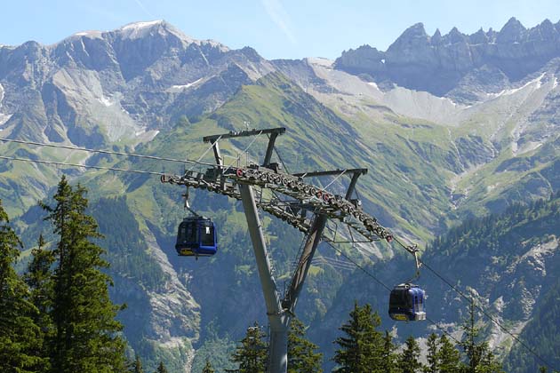 SBE Elm - 2007-08-05 SBE Elm - 2007-08-05