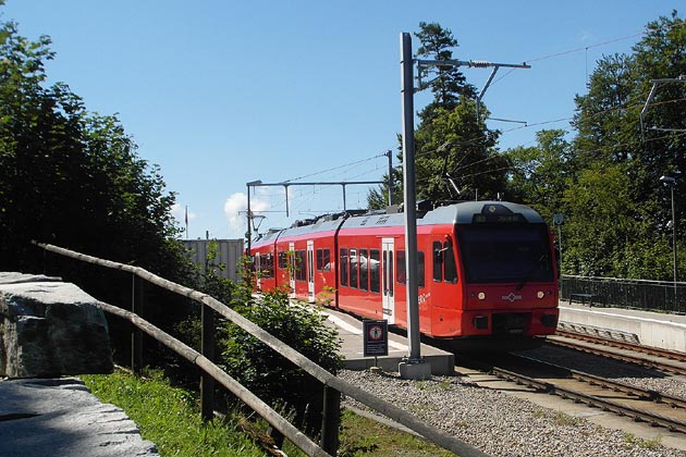 SZU Uetliberg - 2022-08-22