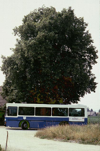 VB/TPB Scheuren - 2003-06-30 VB/TPB Scheuren - 2003-06-30